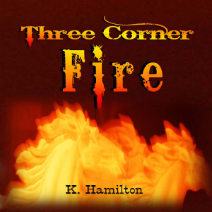 small3CR FIRE