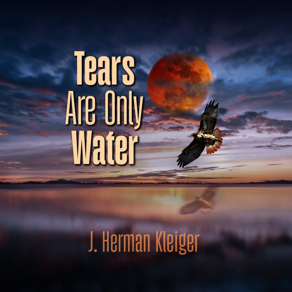 TAOW Audiobook cover